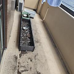 プランターや土、無料差し上げます。7/29