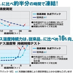 LOGOS 2個セット 倍速凍結・氷点下パックL×2 保冷剤の画像