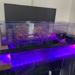 90センチガラス水槽セット　　　　の画像