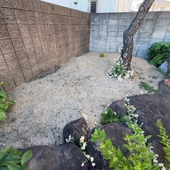 土　小石まじりの画像