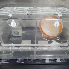 ハムスターケージ　ルーミィ60　すぐに飼育可能　床材、トイレ砂、餌付きの画像