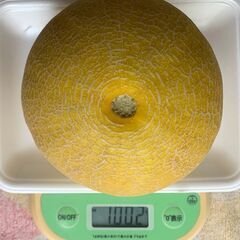 マスクメロン １００２ｇ※ 訳ありの画像
