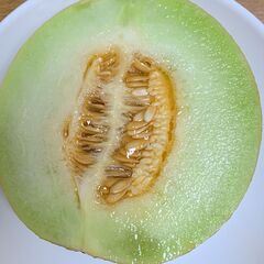 マスクメロン １００２ｇ※ 訳ありの画像