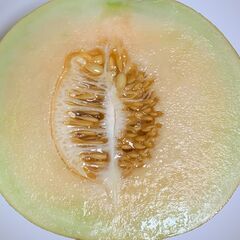 マスクメロン １００２ｇ※ 訳ありの画像