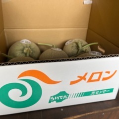 【在庫1玉】らいでんメロン🍈秀品✨✨の画像