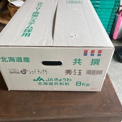 【在庫1玉】らいでんメロン🍈秀品✨✨の画像