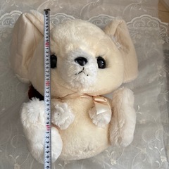 フェネックのぬいぐるみ
の画像