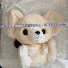 フェネックのぬいぐるみ
の画像