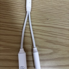 すぐ終了します🙇‍♀️TYPE C 二股ケーブルの画像