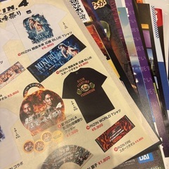 RIZIN チラシ&ピンバッジ二つ付き‼︎の画像