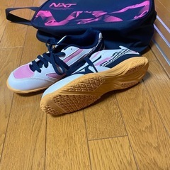 卓球シューズ、シューズケース の画像