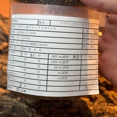 【成虫】 パラワンオオヒラタ 106mmペアの画像