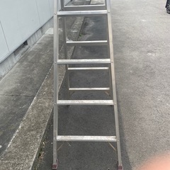 脚立の画像