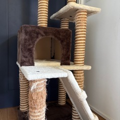 キャットタワーの画像