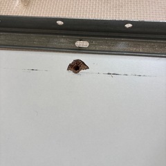 ヘムネスベットの画像