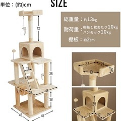 キャットタワー　猫の画像