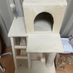 キャットタワー　猫の画像