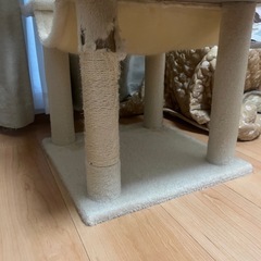 キャットタワー　猫の画像