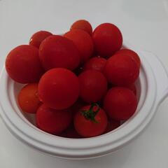 ミニトマトの画像
