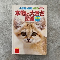 ②絵本