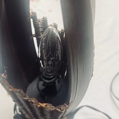 ランプの画像