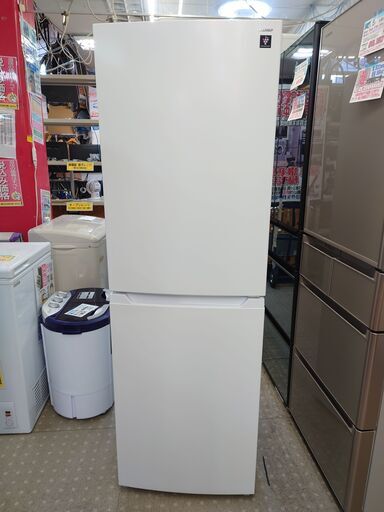 都内23区送料無料✨シャープ2点セット✨冷蔵庫・洗濯機 楽天市場】新生活 一人暮らし 家電セット 冷蔵庫 洗濯機 2点