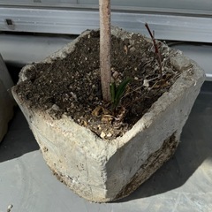 コンクリート　プランターの画像
