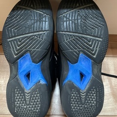 ミニバス　バスケットシューズ　バッシュ　21.5センチの画像