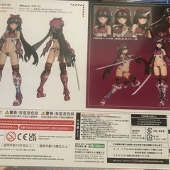 P3　マガツキの画像