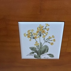 棚の画像