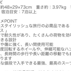 キャリーケース　シルバーLの画像