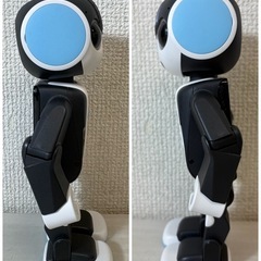 10,000円/通電確認済み♪SHARP/シャープ/SR-03M-A/RoBoHoN/ロボホン/9711-06の画像