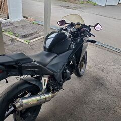CBR250R 　MC 41　17239キロの画像