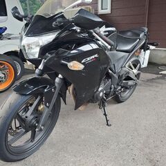CBR250R 　MC 41　17239キロの画像