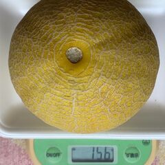 マスクメロン 756ｇ※ 訳ありの画像