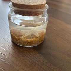 海系　置き物の画像