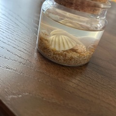 海系　置き物の画像