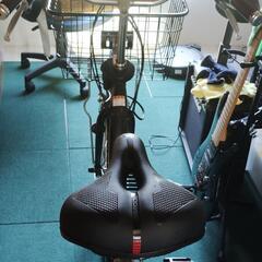  YAMAHA PASwith DXの画像