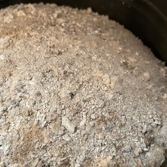 薪ストーブの灰、差し上げます、天然材のみ使用の画像