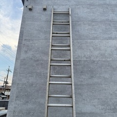 2連　ハシゴ　梯子の画像