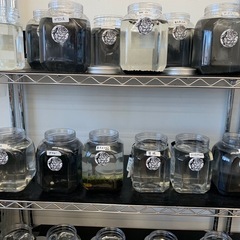 追記　宇部新鮮館厚南店　メダカ　めだかの画像