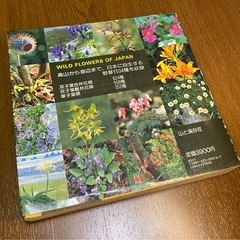 日本の野草　山渓カラー図鑑の画像