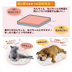 【アイリスオーヤマ】 イヌネコ　ペット用ホットカーペット Ｓサイズ の画像