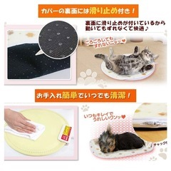【アイリスオーヤマ】 イヌネコ　ペット用ホットカーペット Ｓサイズ の画像
