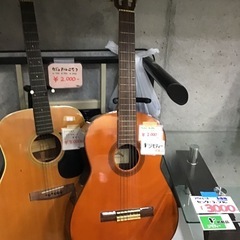 Tokai Gakki     クラシックギター　楽器　中古品の画像