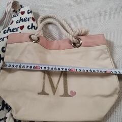 レディバッグの画像