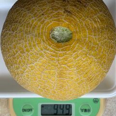 マスクメロン 949ｇ※ 訳ありの画像