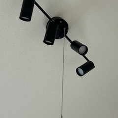 シーリングライト スポットライトの画像