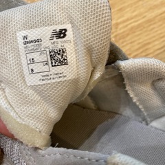 15.0ニューバランス　IZ996の画像