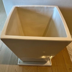 観葉植物ポットの画像